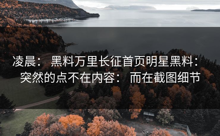 凌晨： 黑料万里长征首页明星黑料： 突然的点不在内容： 而在截图细节