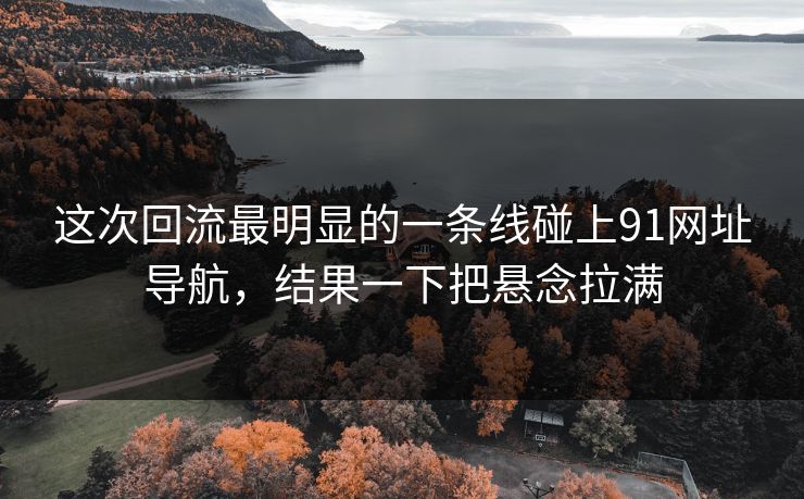 这次回流最明显的一条线碰上91网址导航,结果一下把悬念拉满 这次回流最明显的一条线碰上91网址导航,结果一下把悬念拉满