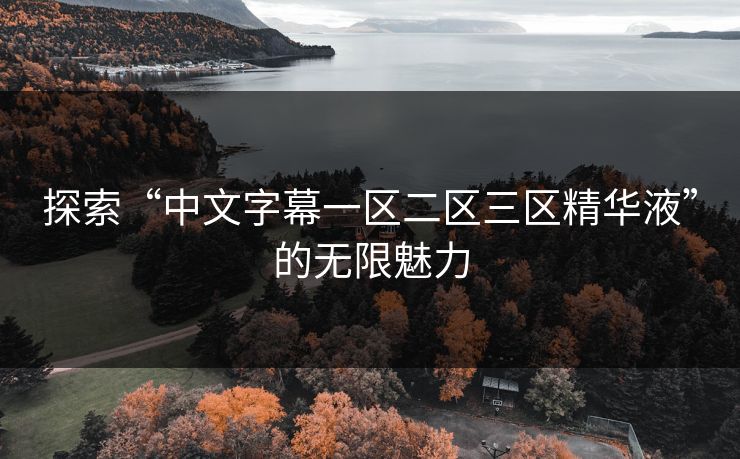 探索“中文字幕一区二区三区精华液”的无限魅力