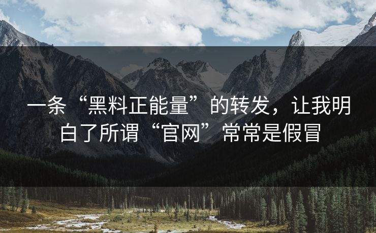 一条“黑料正能量”的转发，让我明白了所谓“官网”常常是假冒
